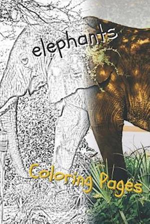 Elephant Coloring Pages