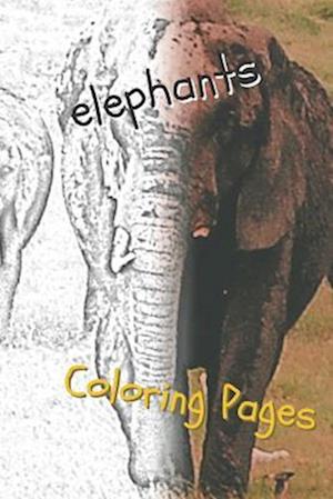 Elephant Coloring Pages