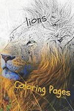 Lions Coloring Pages