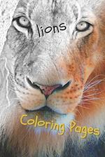 Lions Coloring Pages