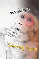 Monkeys Coloring Pages