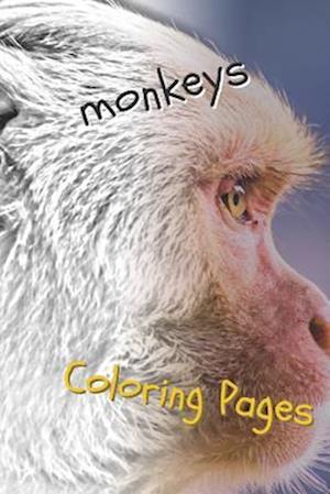 Monkeys Coloring Pages