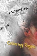 Monkeys Coloring Pages