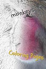 Monkeys Coloring Pages