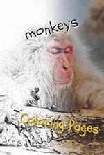 Monkeys Coloring Pages