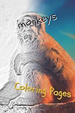 Monkeys Coloring Pages