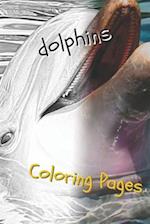 Dolphins Coloring Pages