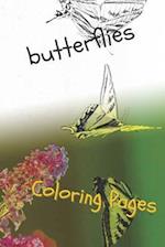 Butterfly Coloring Pages