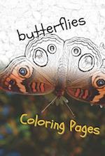 Butterfly Coloring Pages