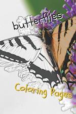 Butterfly Coloring Pages