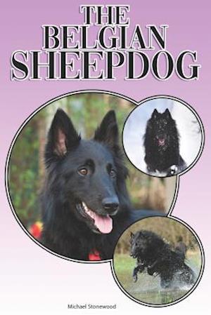 The Belgian Sheepdog