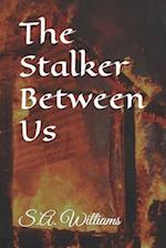 The Stalker Between Us