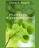 Planting Watermelons