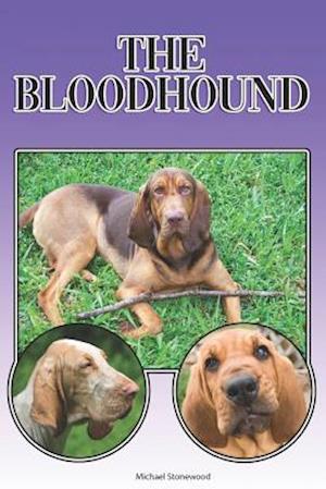 The Bloodhound