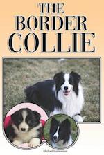 The Border Collie