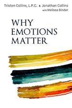 Why Emotions Matter: Recognize Your Body Signals. Grow in Emotional Intelligence. Discover an Embodied Spirituality. 