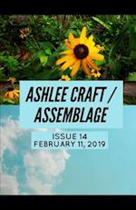 Issue 14 (Ashlee Craft / Assemblage)