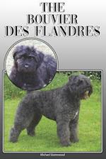 The Bouvier Des Flandres