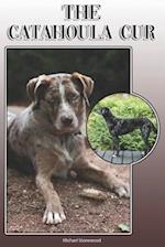 The Catahoula Cur