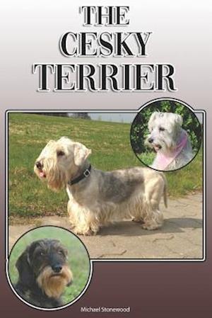 The Cesky Terrier