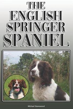 The English Springer Spaniel