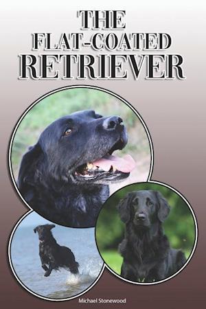 The Flat-Coated Retriever