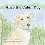 Alice the Cabin Dog