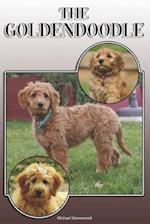 The Goldendoodle