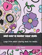 Adult Color by Number Sugar Skulls