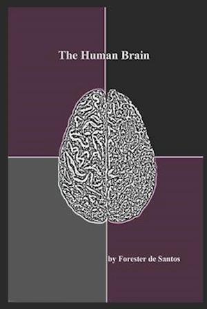 The Human Brain