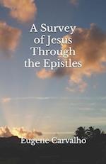 A Survey of Jesus through the Epistles