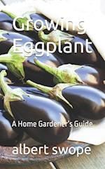 Growing Eggplant: A Home Gardener's Guide 