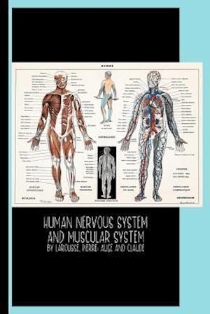 Human Nervous System and Muscular System (1900) by Larousse, Pierre; Augé and Claude