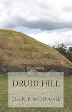 Druid Hill