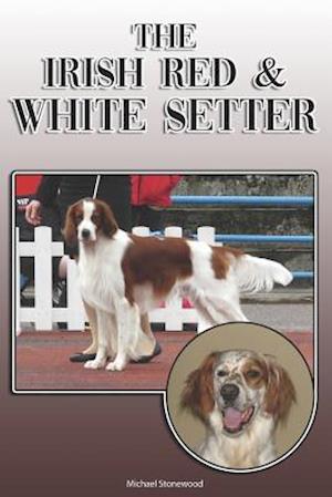 The Irish Red and White Setter