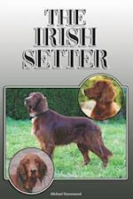 The Irish Setter