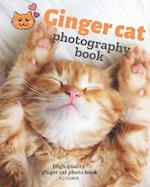 Ginger cat photography book