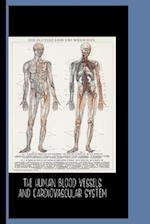 The Human Blood Vessels and Cardiovascular System (1898)