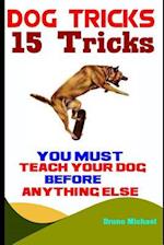 Dog Tricks: 15 Tricks You Must Teach Your Dog before Anything Else 