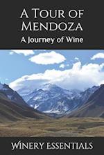 A Tour of Mendoza