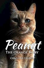 Peanut, the Orange Tabby