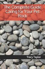 The Complete Guide Caring for Your Pet Rock