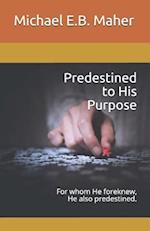 Predestined to His Purpose: For whom He foreknew, He also predestined. 
