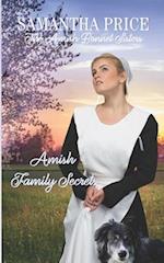 Amish Family Secrets: Amish Romance 