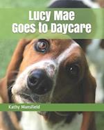 Lucy Mae Goes to Daycare 