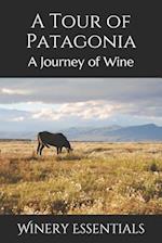 A Tour of Patagonia