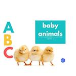 ABC Baby Animals