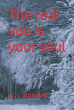 The real you is your SOUL