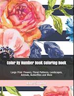 Color By Number Book Coloring Book