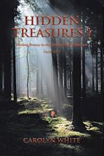 Hidden Treasures I: Finding Beauty in the Trials of the Wilderness 